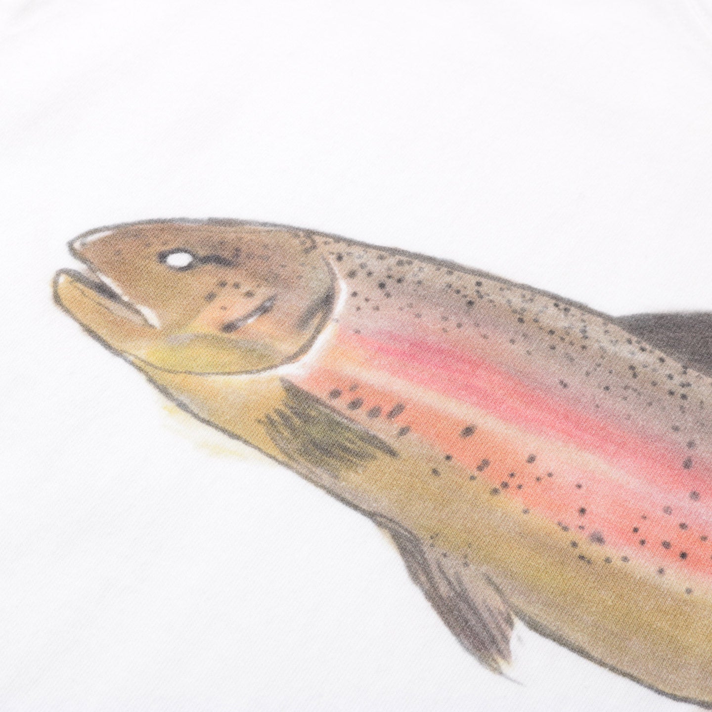 KAPITAL JERSEY CREW T TWO TROUTS PECKISH RAINBOWY WHITE