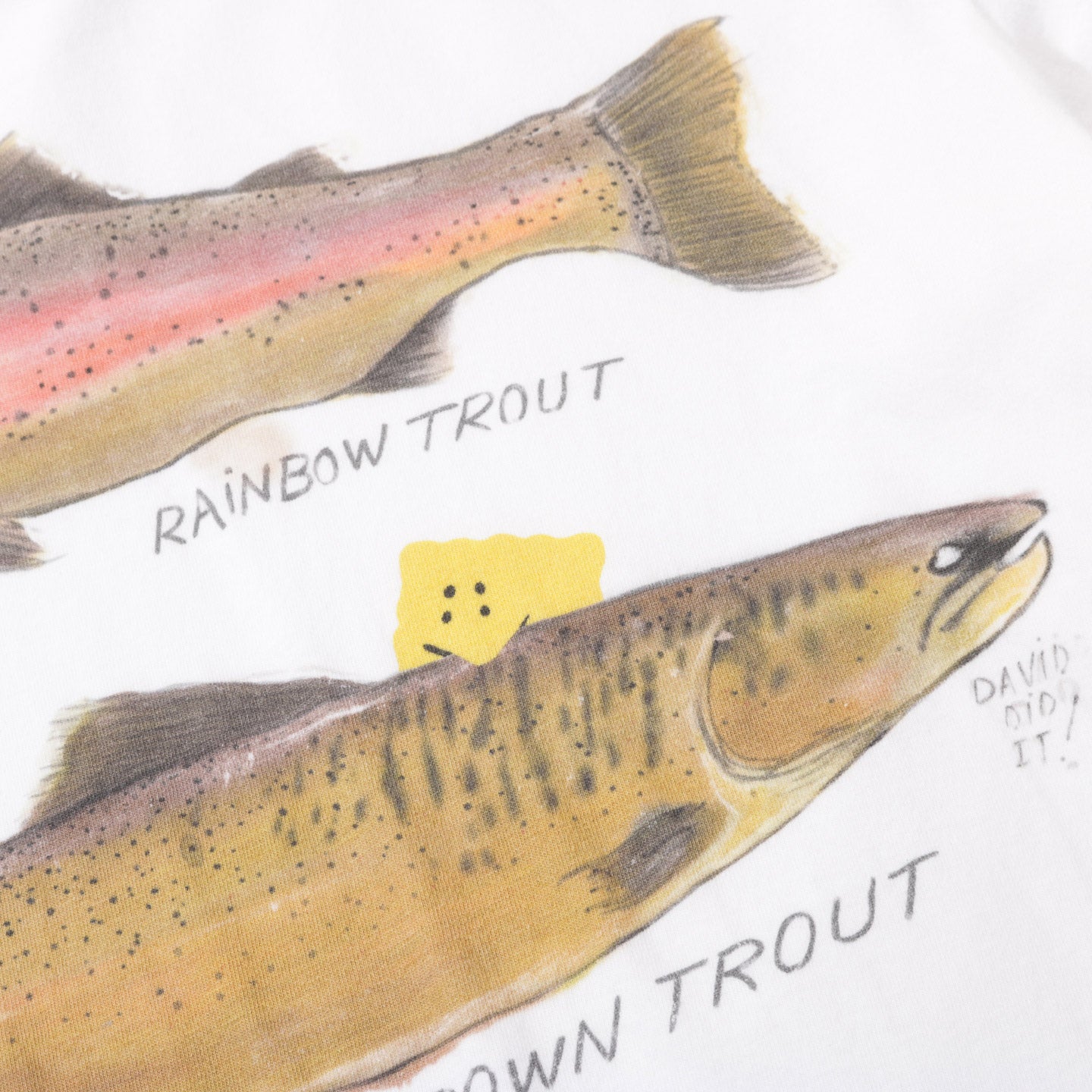 KAPITAL JERSEY CREW T TWO TROUTS PECKISH RAINBOWY WHITE